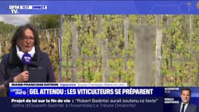 Marie-Françoise Ratron（缅因-卢瓦尔省酿酒师）谈到即将到来的霜冻：“风险是失去今年的收成并污染 2025 年的收成”