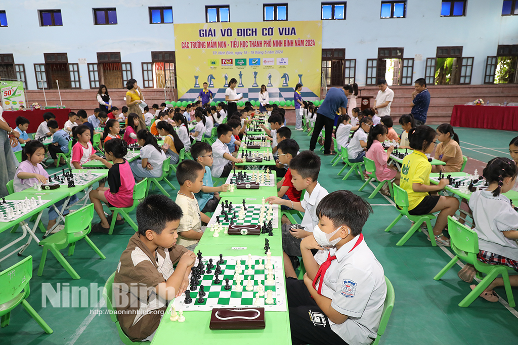 2024年宁平市小学国际象棋锦标赛